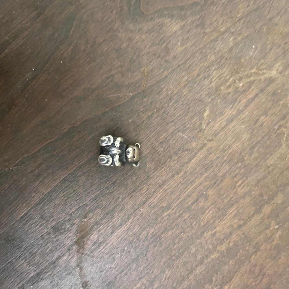 Pandora Charms - Picture 6 of 8